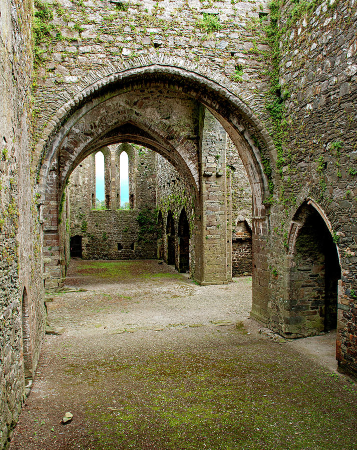 Eyes of the Past - Dunbrody Abbey, County Wexford, Ireland Photograph by Denise Strahm