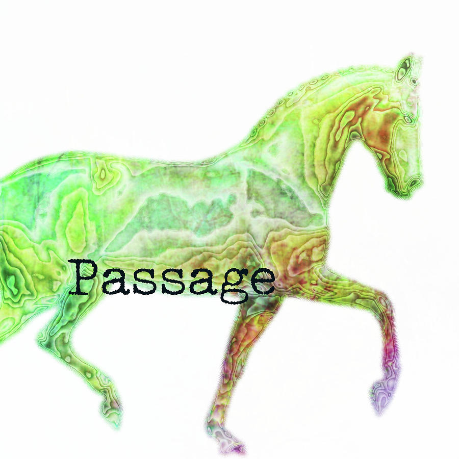 Passage Watercolor Squared Photograph by Dressage Design