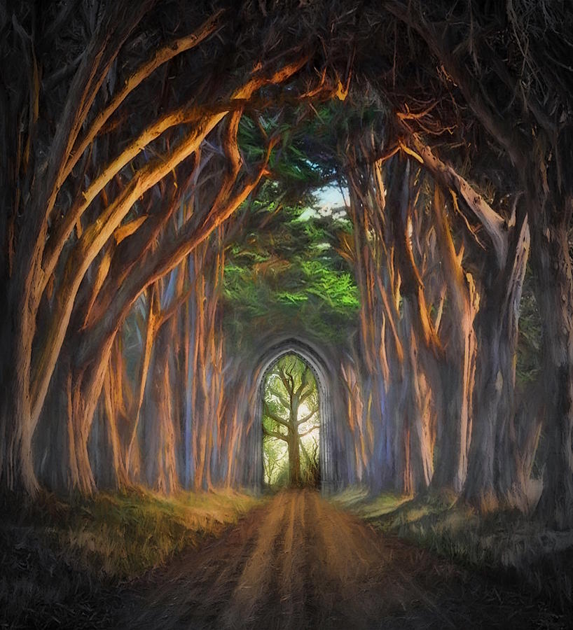 Passageway to the Forest # 10 Digital Art by Don DePaola
