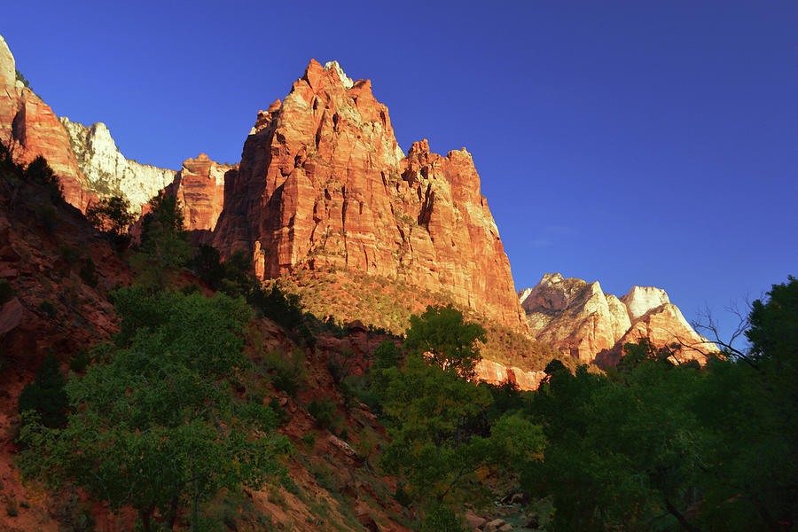 Passing A Patriarch - Zion National Park Photograph by Glenn McCarthy