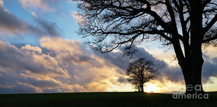 Passing Storm Sunset Oak Trees at Leafield Cotswolds Photograph by Tim Gainey