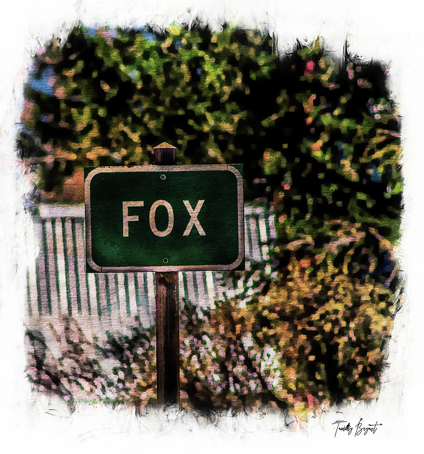 Passing through Fox w/ Dream Vignette Border Photograph by Tammy Bryant