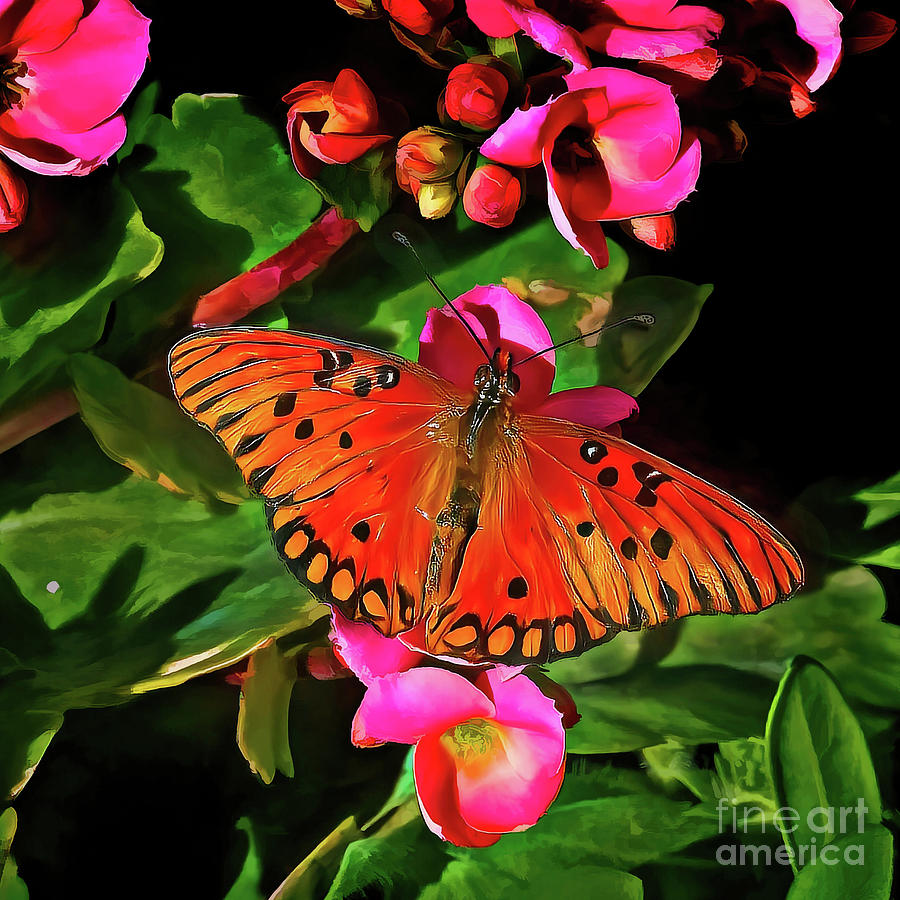 Passion Butterfly Photograph by Jon Burch Photography