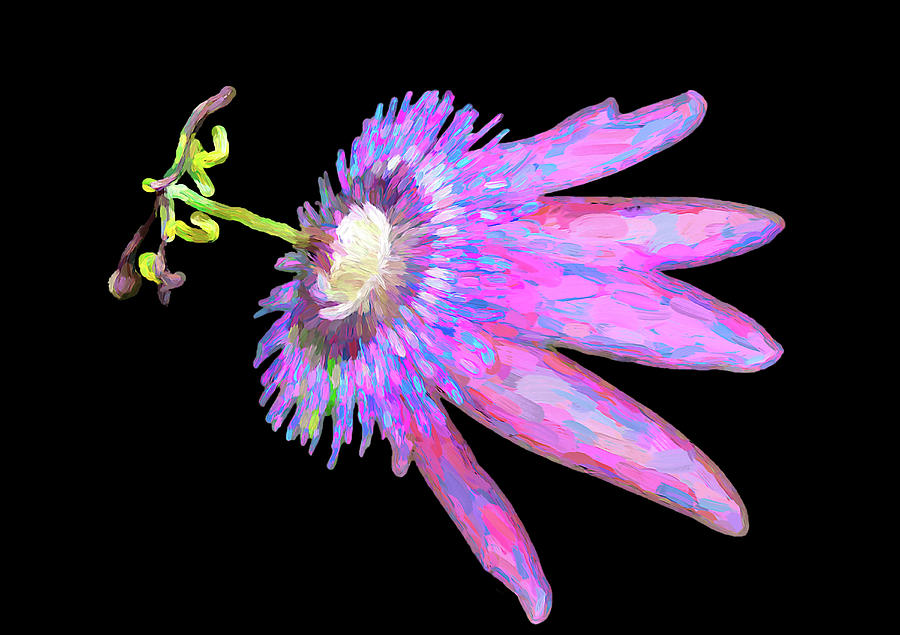 Nature Mixed Media - Passion Flower by Rosalie Scanlon