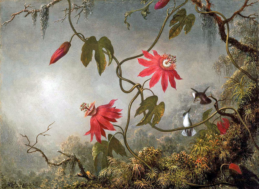 Passion Flowers and Hummingbirds Digital Art by Long Shot