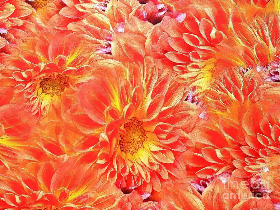 Passionate about Dahlias Photograph by Sea Change Vibes