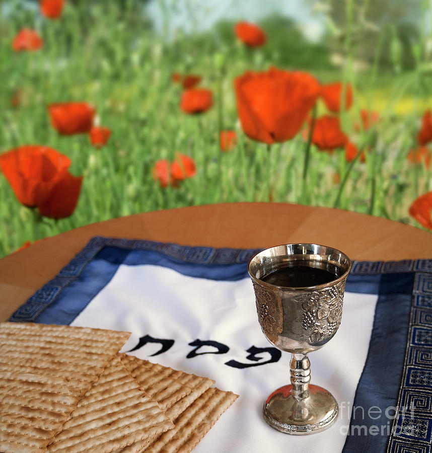 Passover with poppies Photograph by Stella Levi