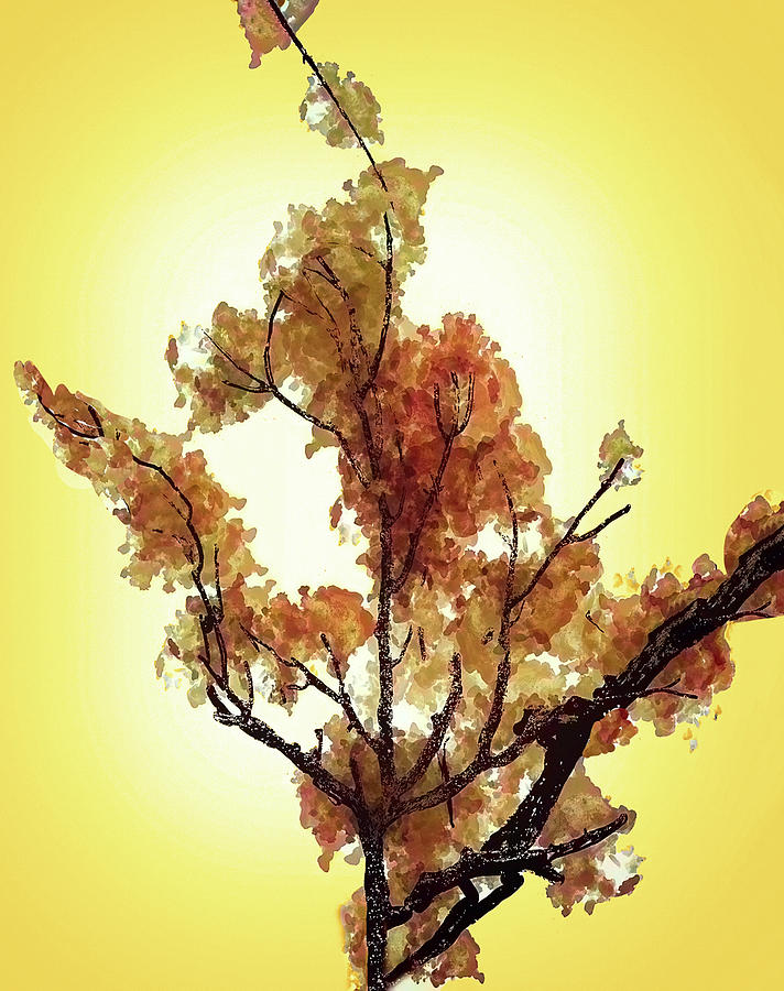 Past Peak Fall Leaf Colors Mixed Media by Pheasant Run Gallery