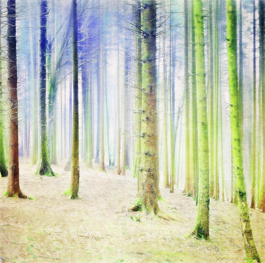 Pastel Birches Digital Art by Terry Davis