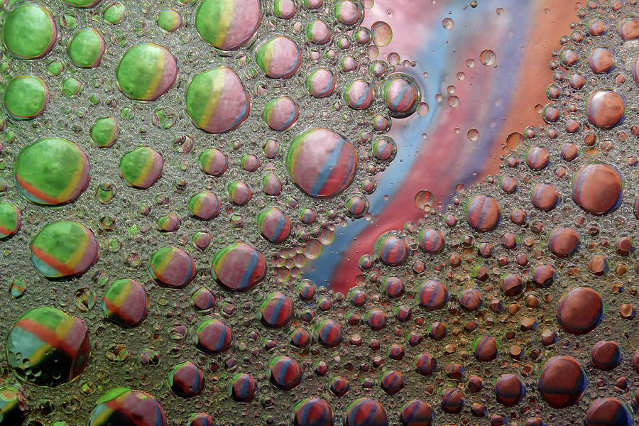 Pastel Bubbles  Photograph by Jennifer Robin