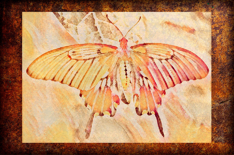 Pastel Butterfly Digital Art by Steven Parker