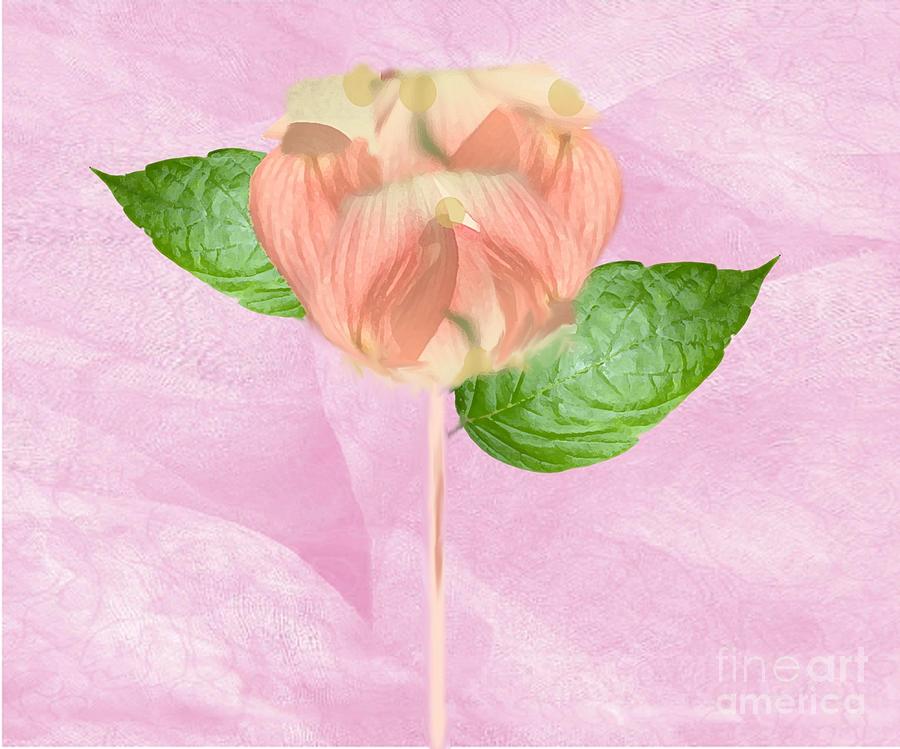 Pastel Flower Digital Art