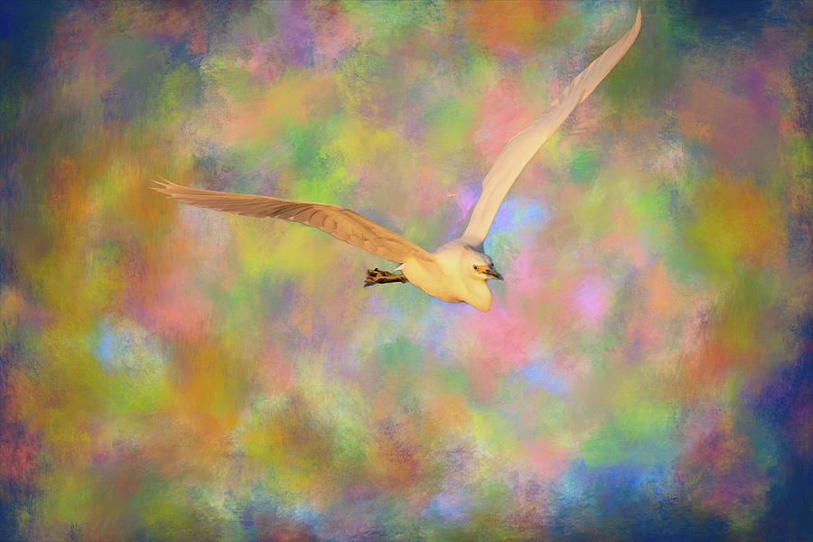 Pastel FlyBy Photograph by Pam Rendall