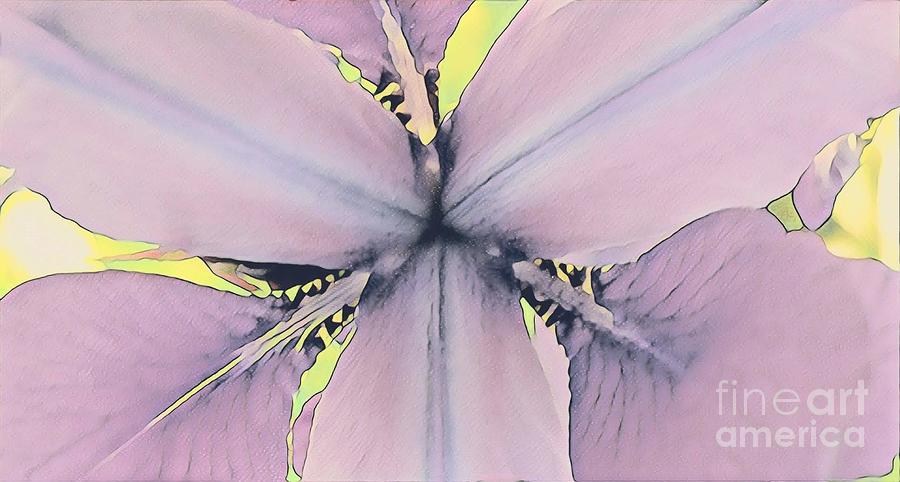 Pastel Iris close-up Painting by Marilyn Smith
