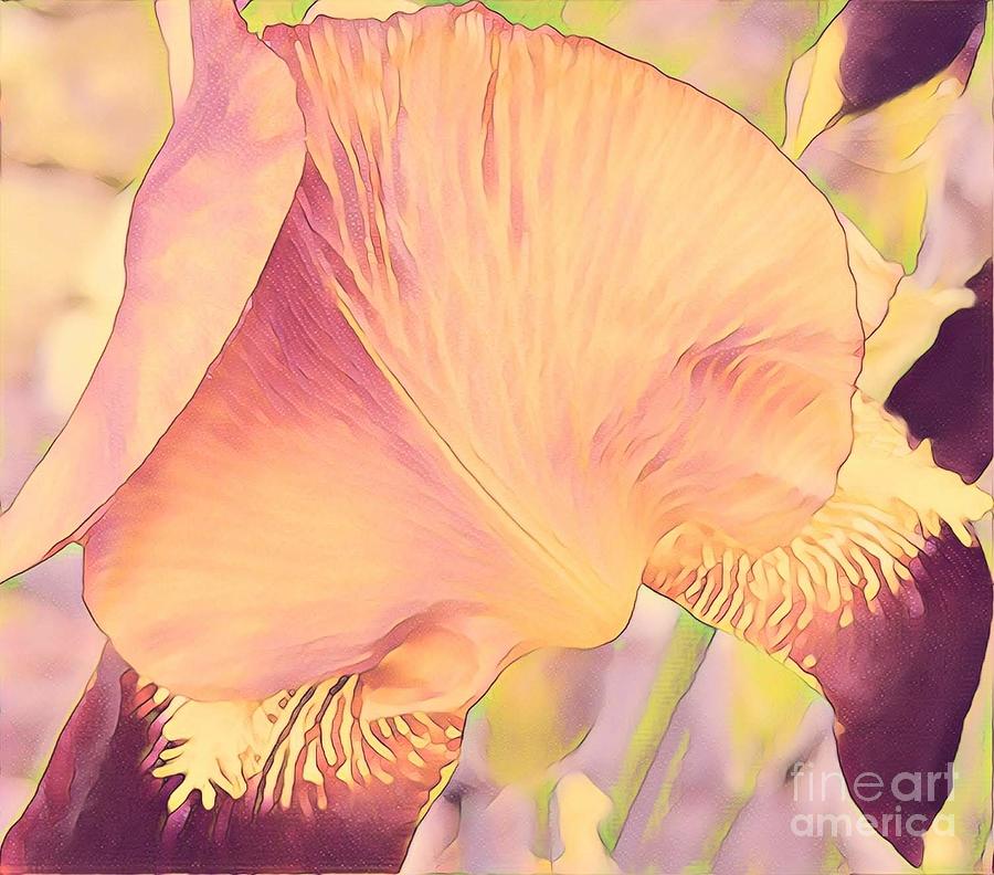 Pastel Iris II Painting by Marilyn Smith