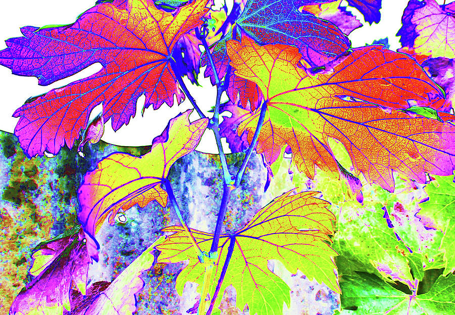 Nature Digital Art - Pastel Leaves by Sherrie Hall