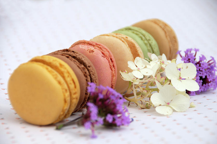 Pastel Macarons and flowers 1 Photograph by Gareth Parkes