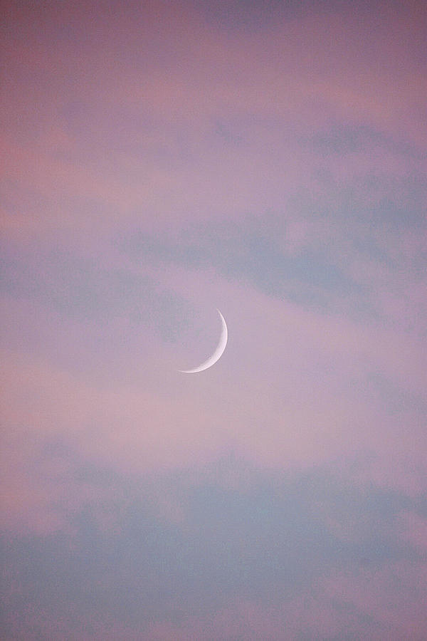 Pastel Moon Photograph by Emily Goodman - Fine Art America