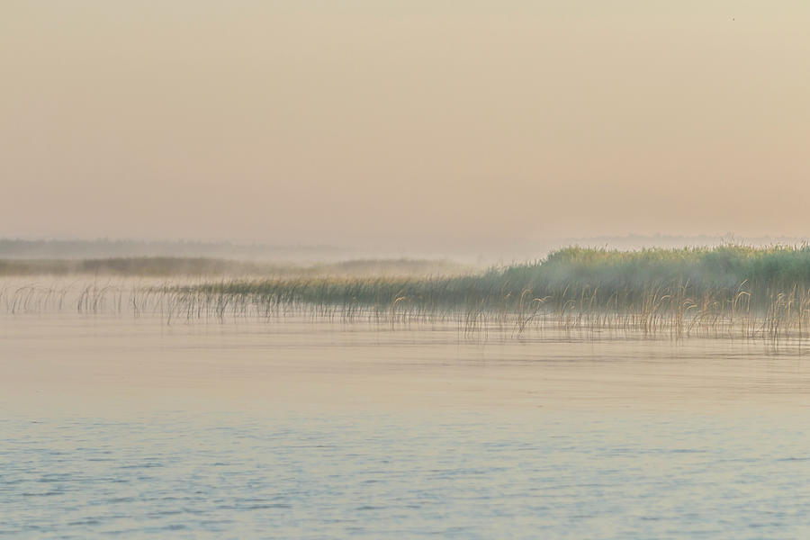 Pastel Morning Marsh Photograph by Patti Deters