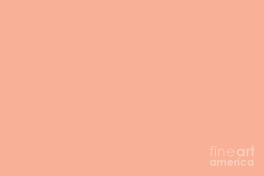 Pastel Orange Solid Color Pairs Pantone Peach Nectar 14 1228 TCX