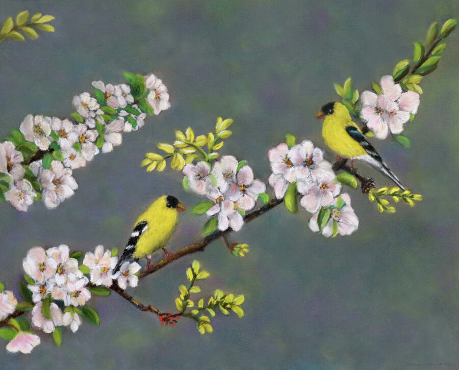 Pastel Painting of American Goldfinches Painting by Sandra Huston