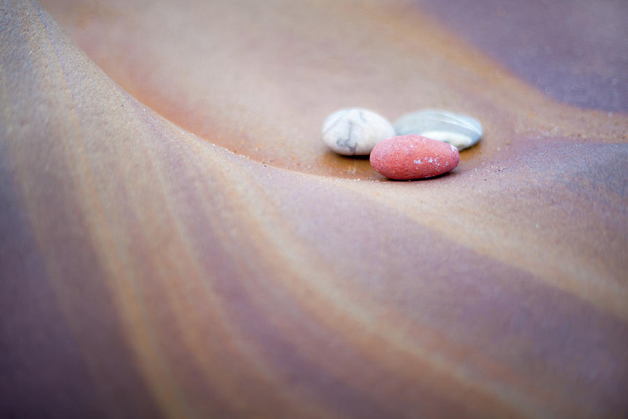 Pastel Pebbles Photograph by Anita Nicholson