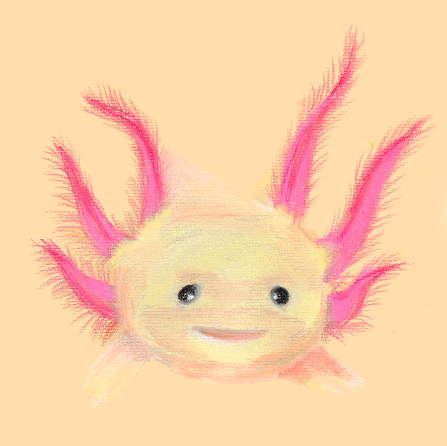 Pastel Pencil Animal Drawing Axolotl Drawing By Art Journey