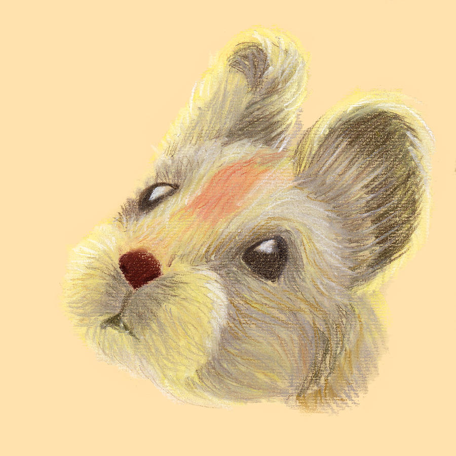 Pastel Pencil Animal Drawing Pika Drawing By Art Journey