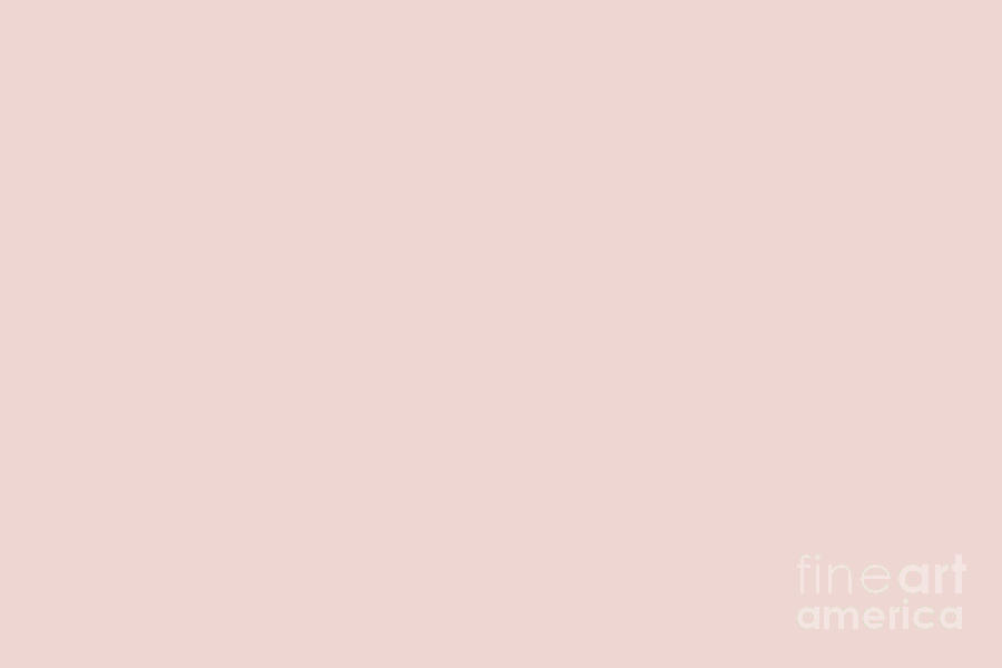 Pastel Pink Solid Color Behr 2021 Color of the Year Accent Shade Cupcake Pink M160-1 Digital Art by PIPA Fine Art - Simply Solid