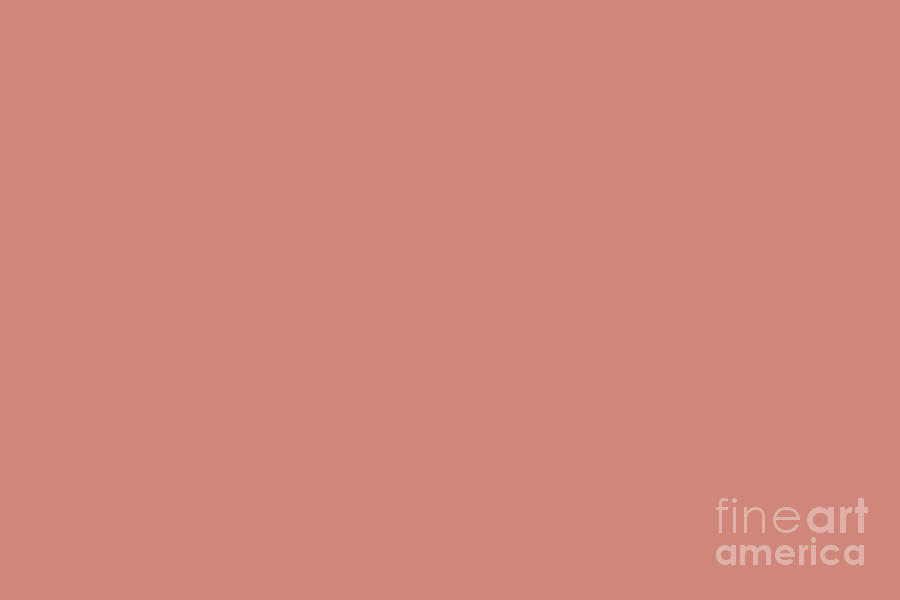 Pastel Pink Solid Color Behr 2021 Color of the Year Accent Shade Indian Sunset M170-5 Digital Art by PIPA Fine Art - Simply Solid