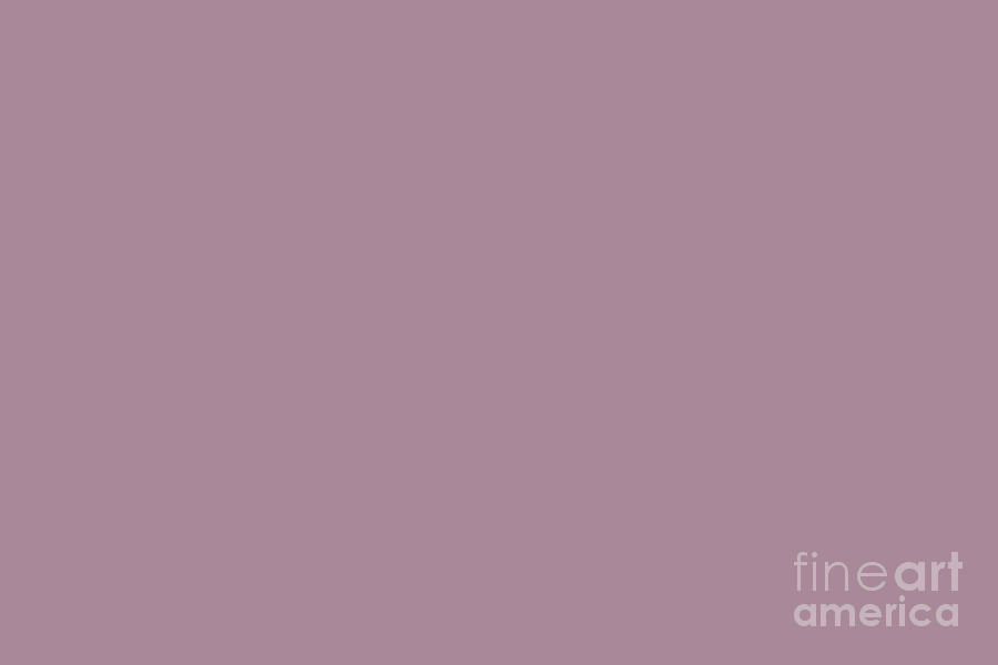 Pastel Purple Pink Solid Color Behr 2021 Color of the Year Accent Shade Reserve S120-5 Digital Art by PIPA Fine Art - Simply Solid