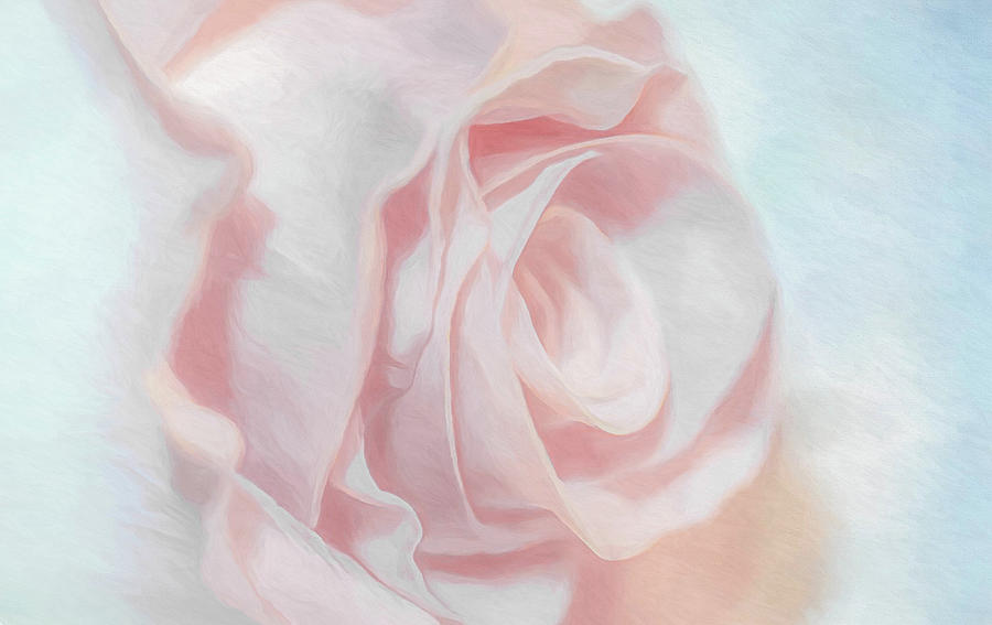 Pastel Rose  Digital Art by Kevin Lane