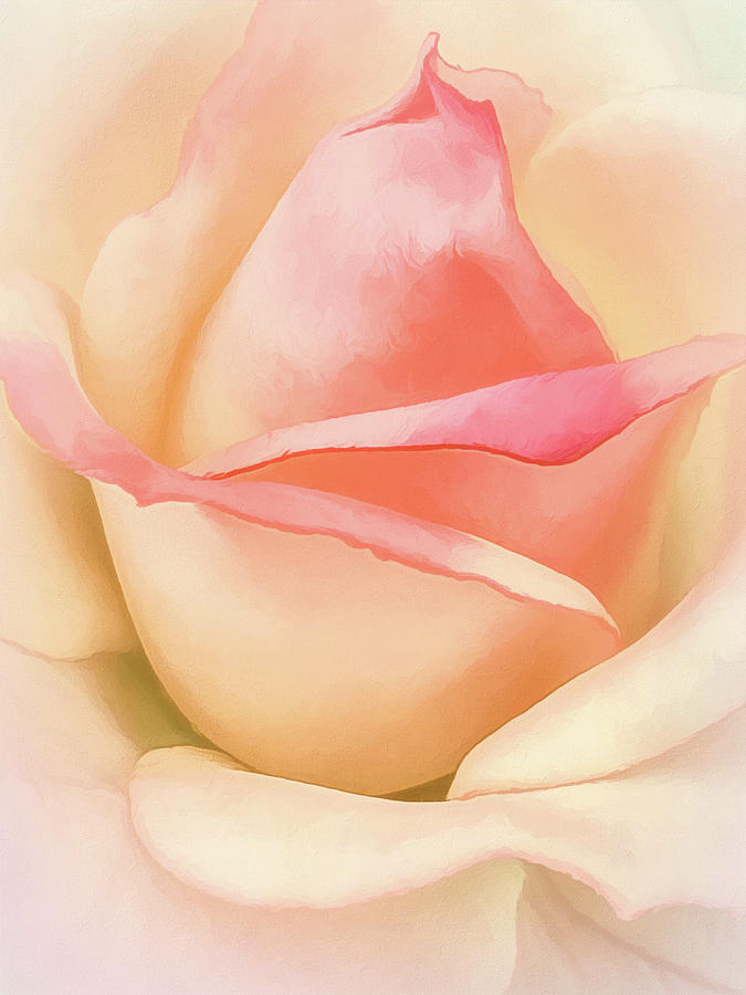 Pastel Rose Tones Digital Art by Kevin Lane