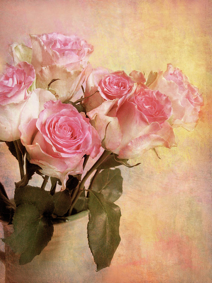 Pastel Roses Photograph by Jessica Jenney