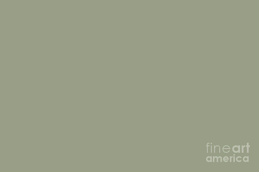 Pastel Sage Green Solid Color Pairs To Dunn and Edwards Flagstone Quartzite DET517 Digital Art by PIPA Fine Art - Simply Solid