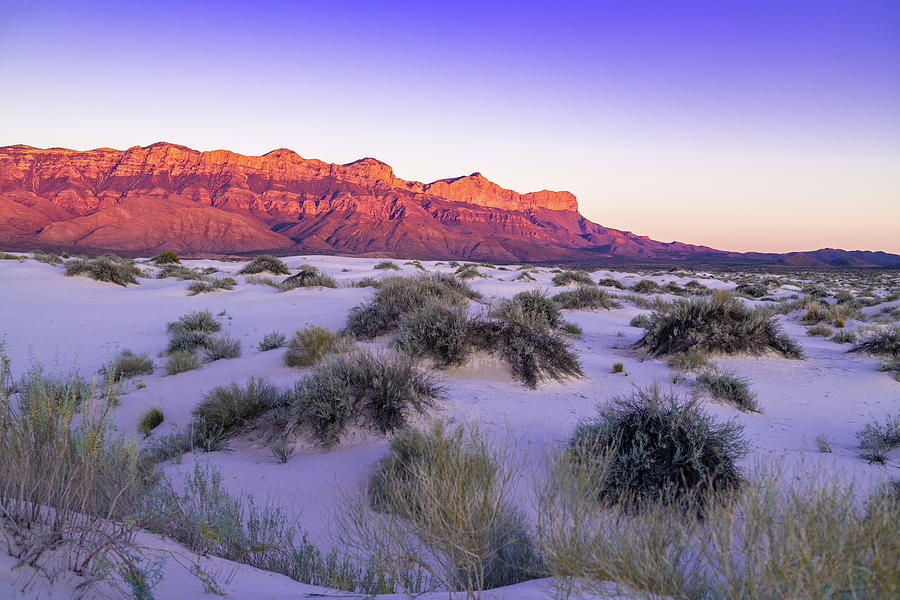 Pastel Sky over Guadalupe Mountains Photograph by Erin K Images