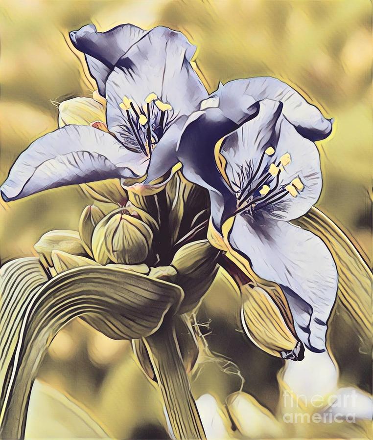 Pastel Spiderwort Painting by Marilyn Smith