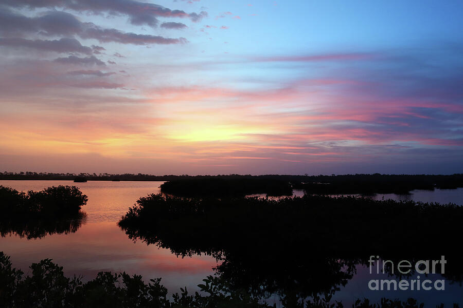 Sunrise Photograph - Pastel Sunrise Over The Mangroves by Brenda Harle