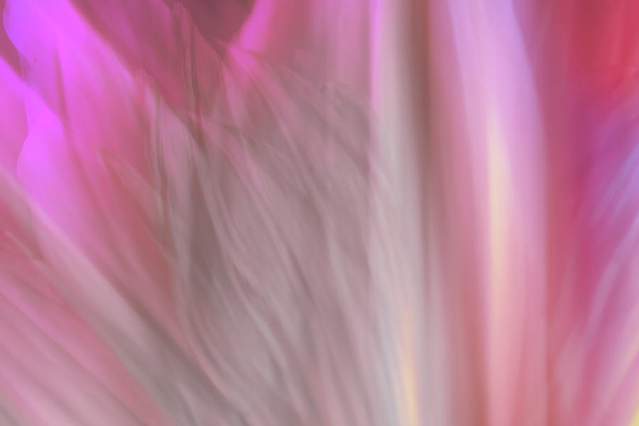 Abstract Digital Art - Pastel Sweeps by Terry Davis