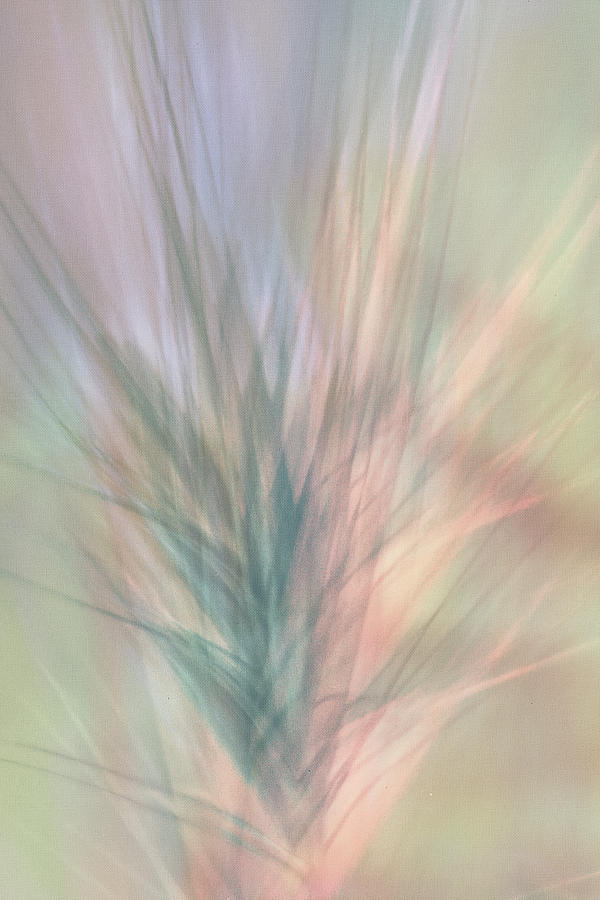 Pastel Weed Beauty Digital Art by Terry Davis
