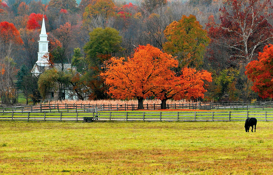 Pastoral Autumn Photograph by Kristin Elmquist