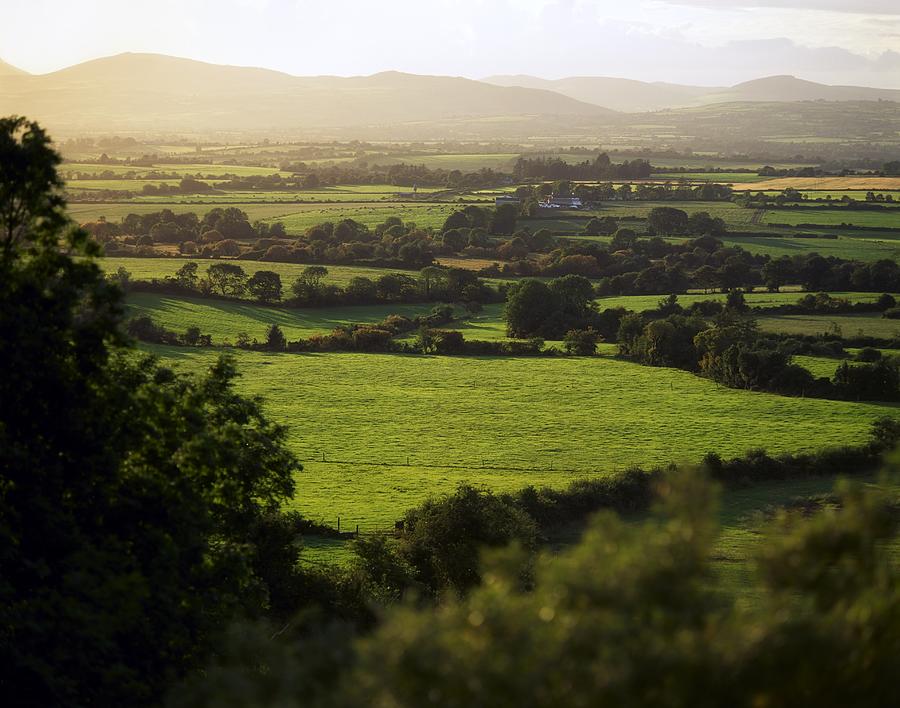 Pastoral, Mitchelstown, County Cork, Ireland Photograph by Design Pics/The Irish Image Collection