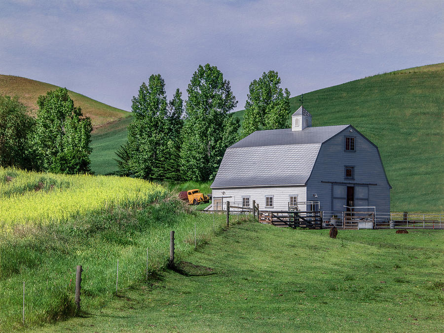 Pastoral Palouse, Washington State Photograph by Marcy Wielfaert