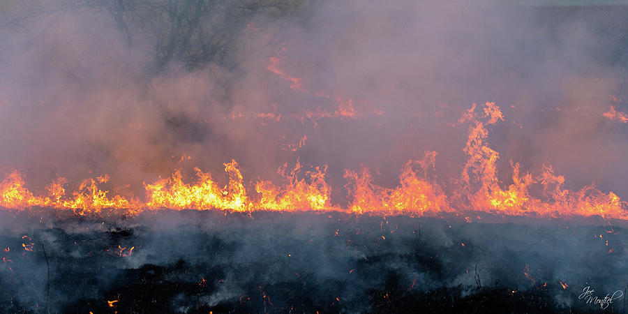 Pasture Burn Photograph by Joe Montiel - Fine Art America