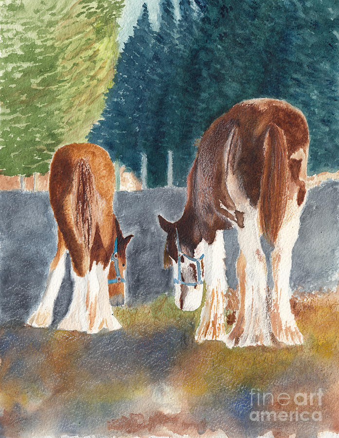 Pasture Butties, Two Clydesdale Colts in Winter Sunlight Painting by Conni Schaftenaar