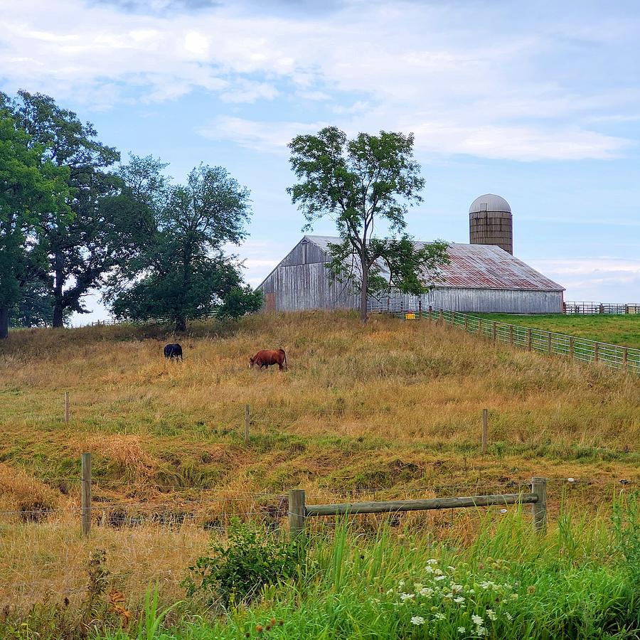 Pasture On The Hill Photograph By Dave Cotton - Fine Art America