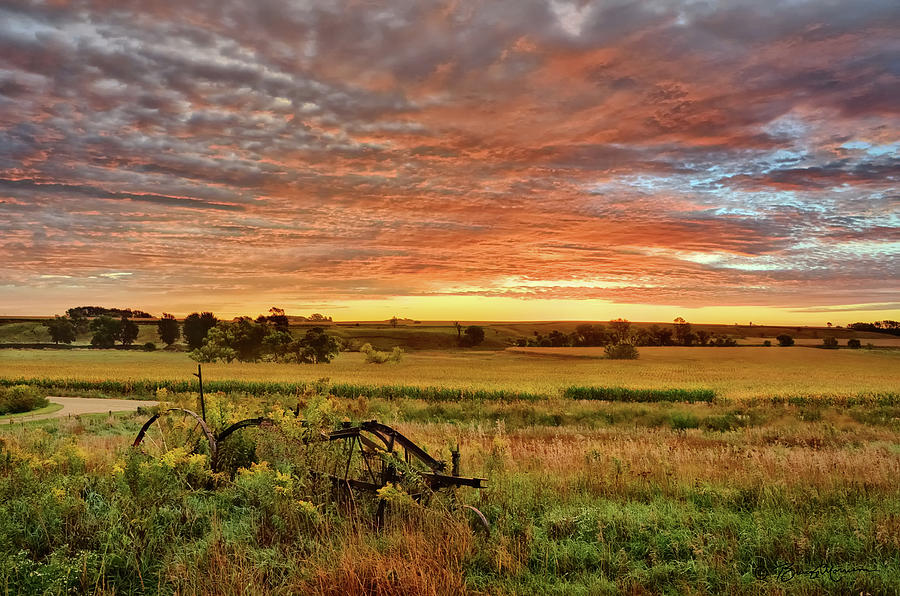Pasture Sunrise Photograph by Bruce Morrison