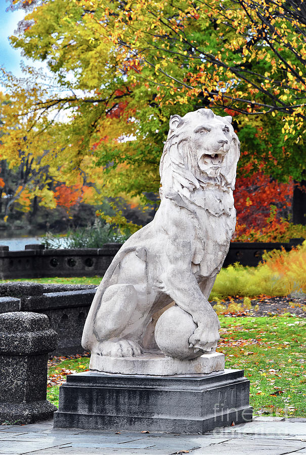Pat Branch Brook Lion In Autumn Photograph