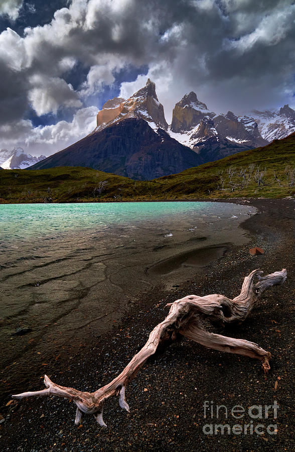 Patagonia 00021 Photograph by Bernardo Galmarini