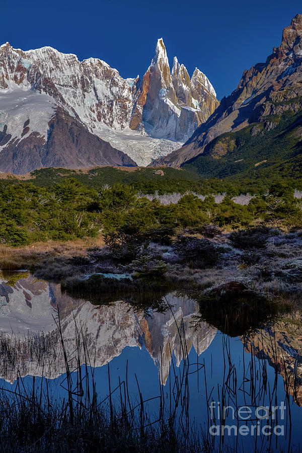 Patagonia 00044 Photograph by Bernardo Galmarini